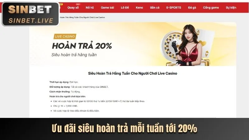 Chương trình thành viên VIP với nhiều đặc quyền